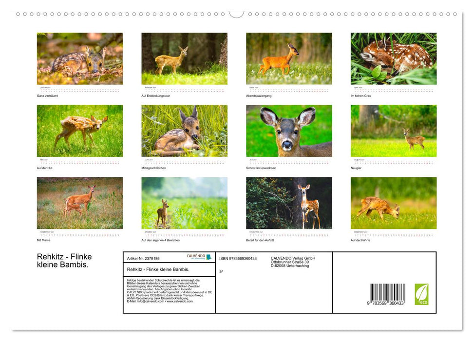 Rehkitz - Flinke kleine Bambis. (CALVENDO Premium Wandkalender 2027)