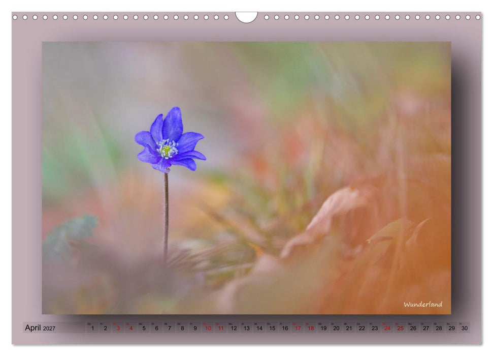 Foto-Art-Natur (CALVENDO Wandkalender 2027)