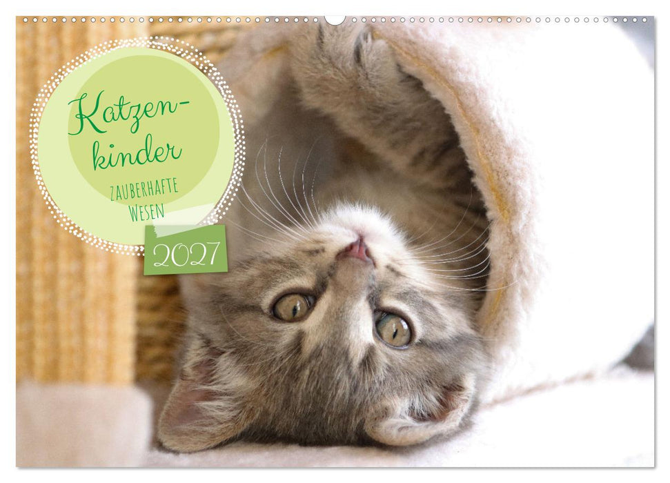 Katzenkinder - zauberhafte Wesen (CALVENDO Wandkalender 2027)
