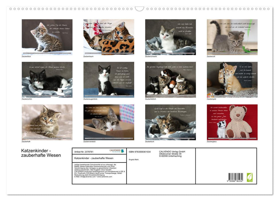 Katzenkinder - zauberhafte Wesen (CALVENDO Wandkalender 2027)