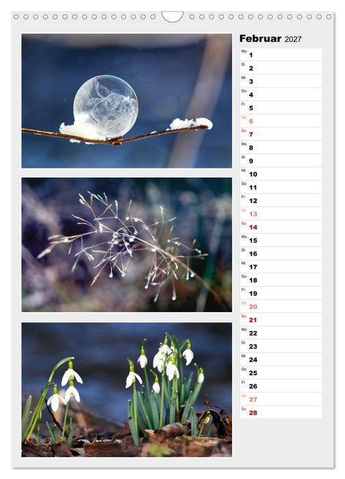 Zauberhafte Farben der Natur (CALVENDO Wandkalender 2027)