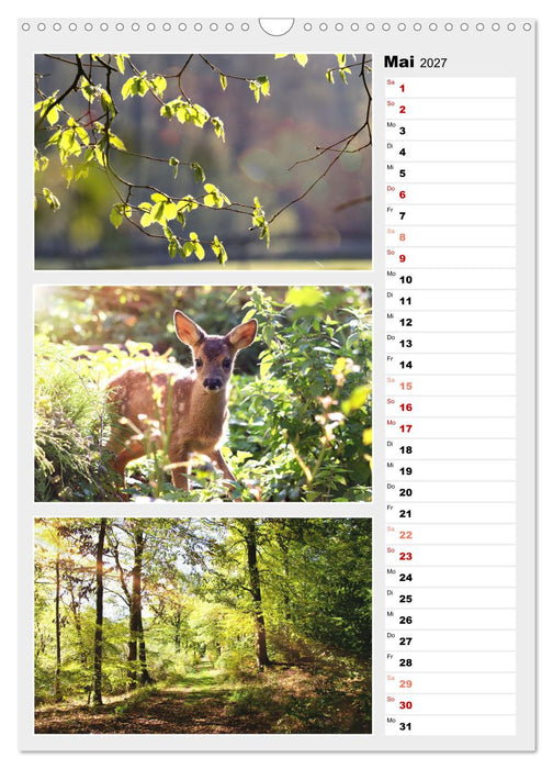 Zauberhafte Farben der Natur (CALVENDO Wandkalender 2027)
