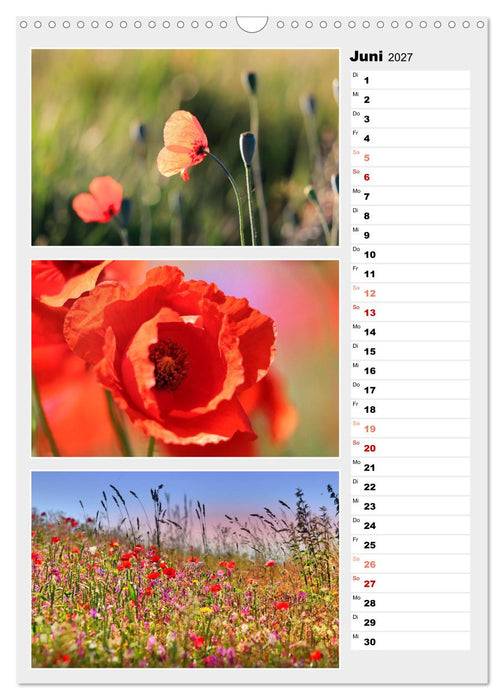 Zauberhafte Farben der Natur (CALVENDO Wandkalender 2027)