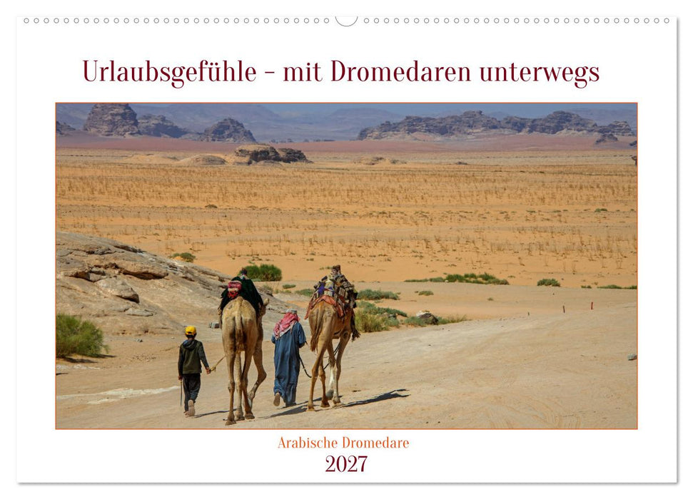 Urlaubsgefühle - mit Dromedaren unterwegs (CALVENDO Wandkalender 2027)