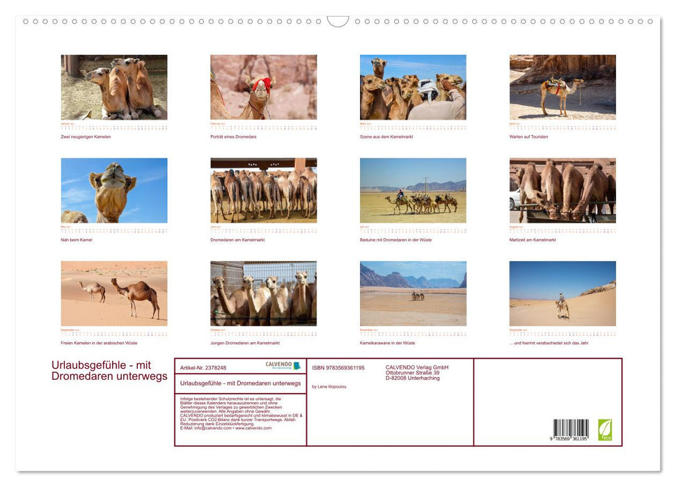 Urlaubsgefühle - mit Dromedaren unterwegs (CALVENDO Wandkalender 2027)