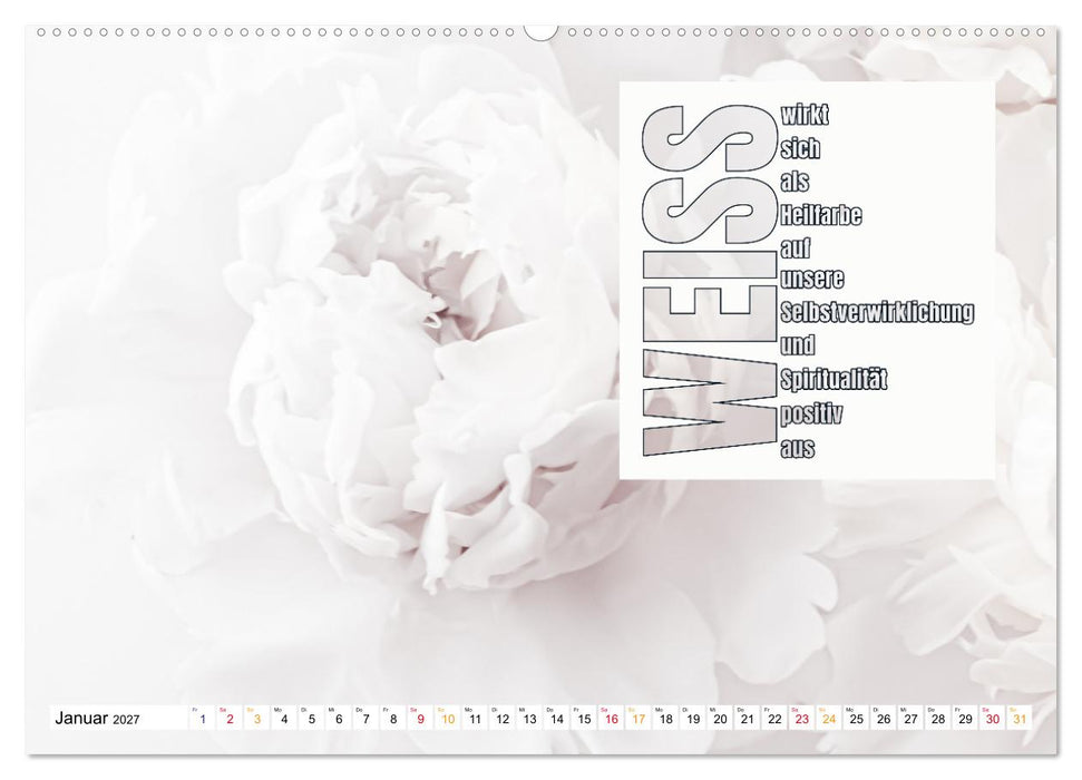 FARBEN Die Macht der heilenden Farben (CALVENDO Premium Wandkalender 2027)