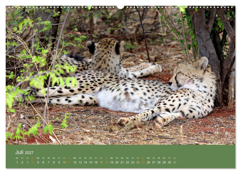 Roadtrip in Namibia (CALVENDO Premium Wandkalender 2027)