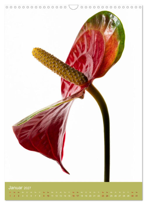Natürlich Blumen. (CALVENDO Wandkalender 2027)