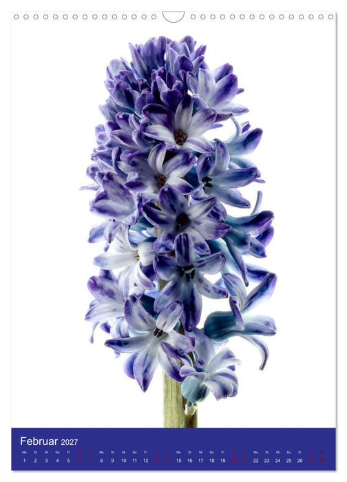 Natürlich Blumen. (CALVENDO Wandkalender 2027)