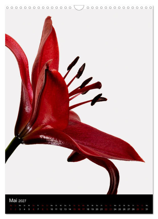 Natürlich Blumen. (CALVENDO Wandkalender 2027)