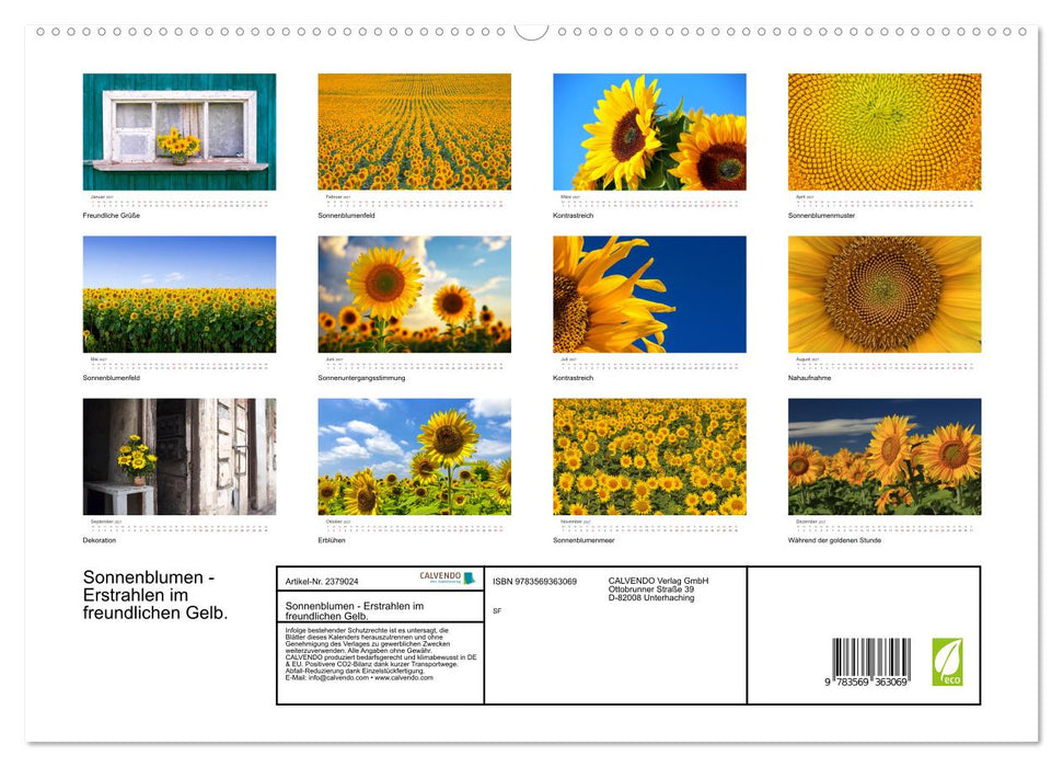 Sonnenblumen - Erstrahlen im freundlichen Gelb. (CALVENDO Premium Wandkalender 2027)