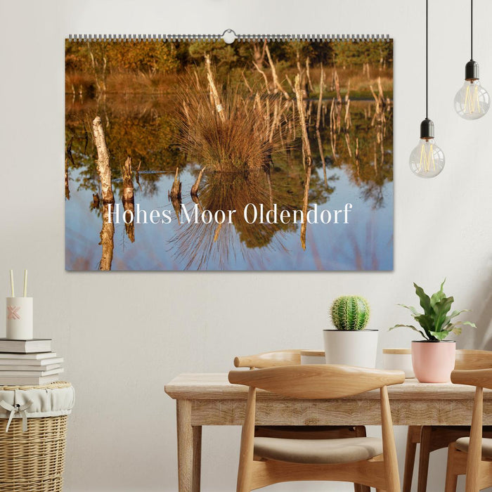 Hohes Moor Oldendorf (CALVENDO Wandkalender 2027)