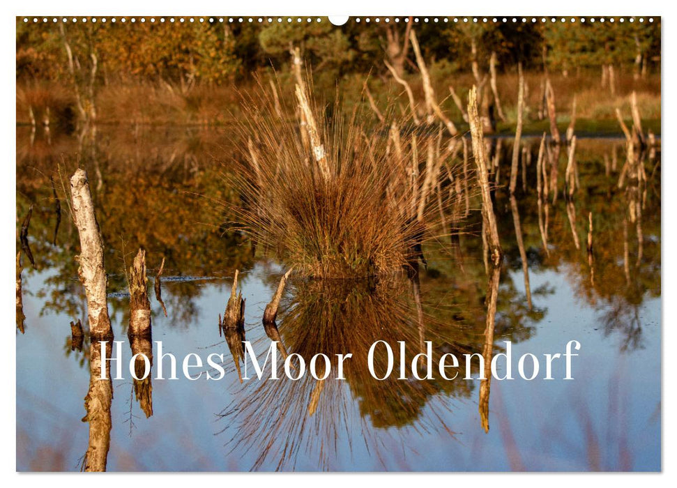 Hohes Moor Oldendorf (CALVENDO Wandkalender 2027)
