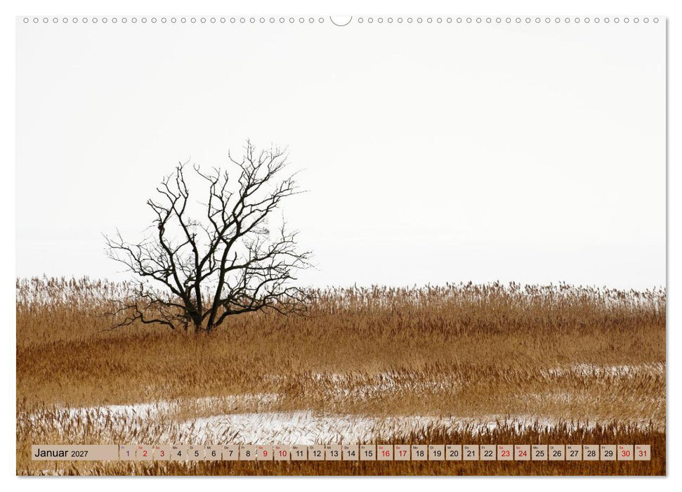 Ostsee Meditationen (CALVENDO Premium Wandkalender 2027)