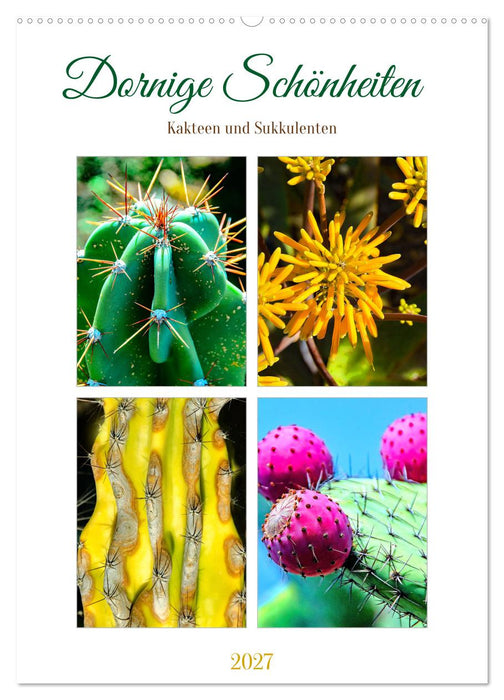 Dornige Schönheiten - Kakteen und Sukkulenten (CALVENDO Wandkalender 2027)