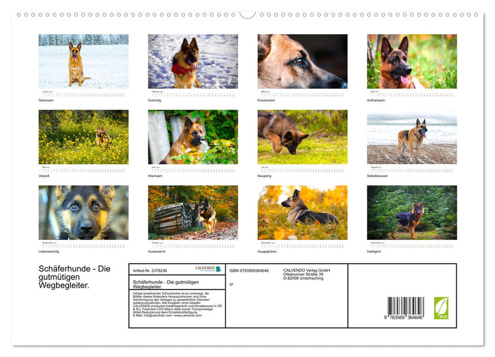 Schäferhunde - Die gutmütigen Wegbegleiter. (CALVENDO Premium Wandkalender 2027)