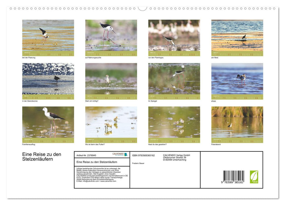 Eine Reise zu den Stelzenläufern (CALVENDO Premium Wandkalender 2027)