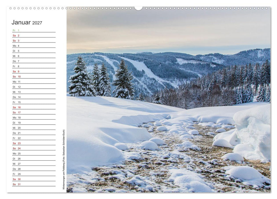 Naturvielfalt Wiesental (CALVENDO Wandkalender 2027)