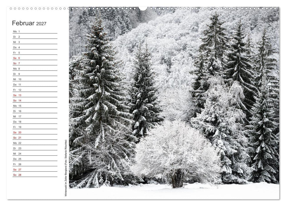 Naturvielfalt Wiesental (CALVENDO Wandkalender 2027)