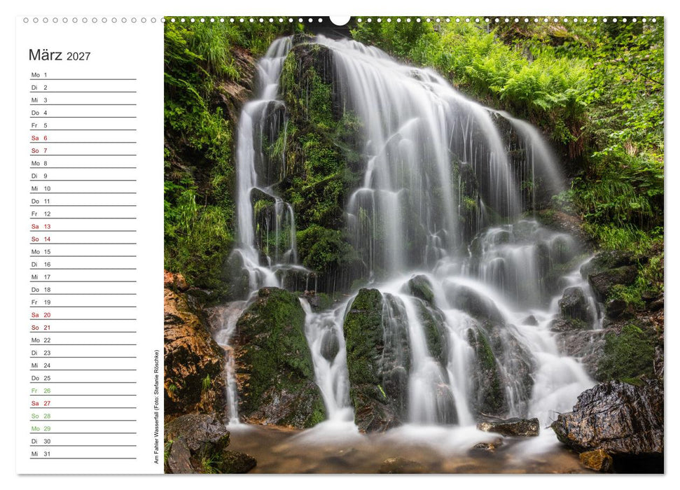 Naturvielfalt Wiesental (CALVENDO Wandkalender 2027)