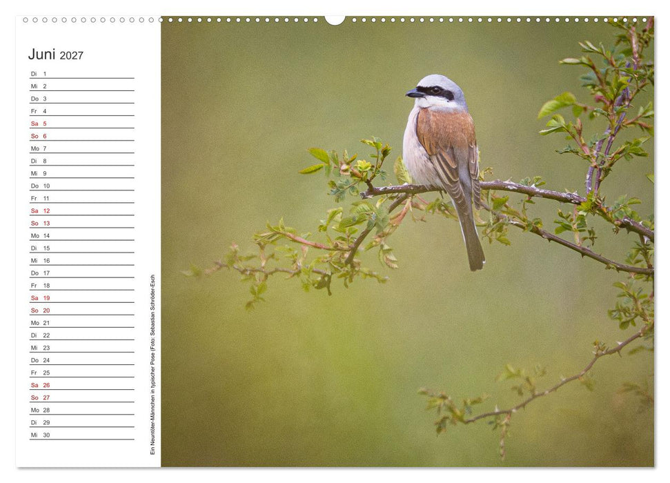 Naturvielfalt Wiesental (CALVENDO Wandkalender 2027)