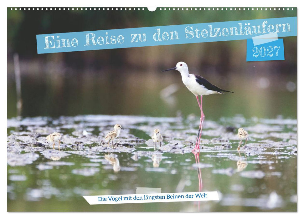 Eine Reise zu den Stelzenläufern (CALVENDO Wandkalender 2027)