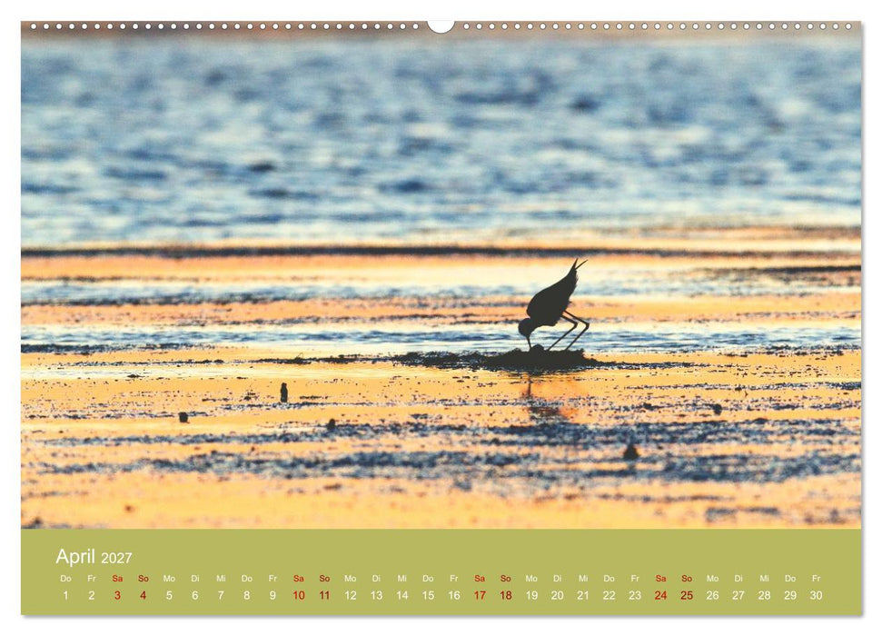 Eine Reise zu den Stelzenläufern (CALVENDO Wandkalender 2027)