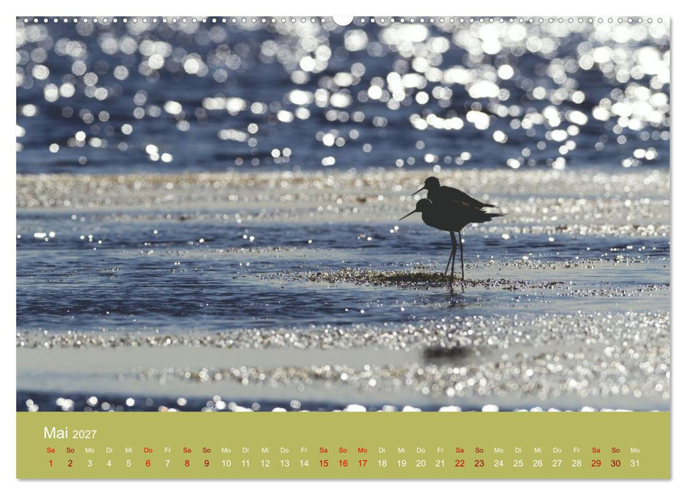 Eine Reise zu den Stelzenläufern (CALVENDO Wandkalender 2027)