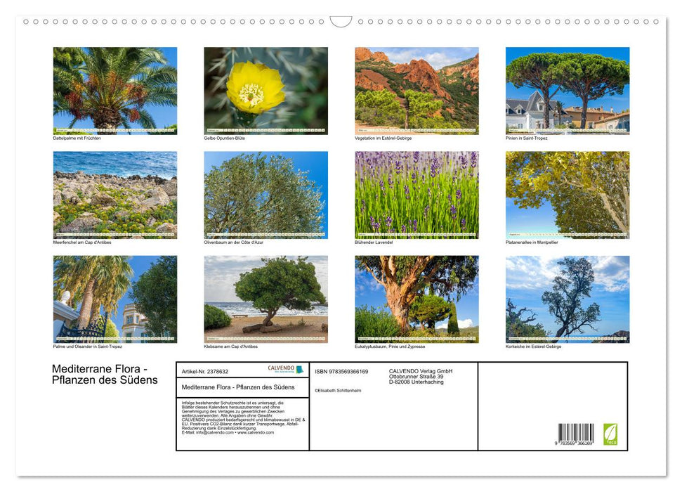 Mediterrane Flora - Pflanzen des Südens (CALVENDO Wandkalender 2027)
