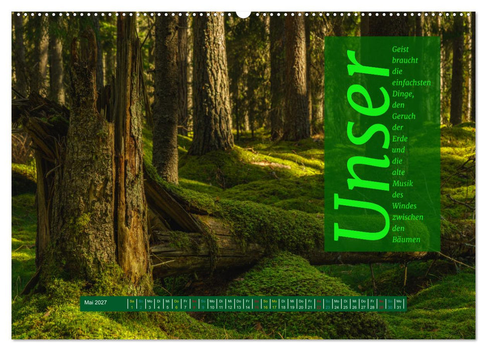 WALD Erholung pur (CALVENDO Wandkalender 2027)