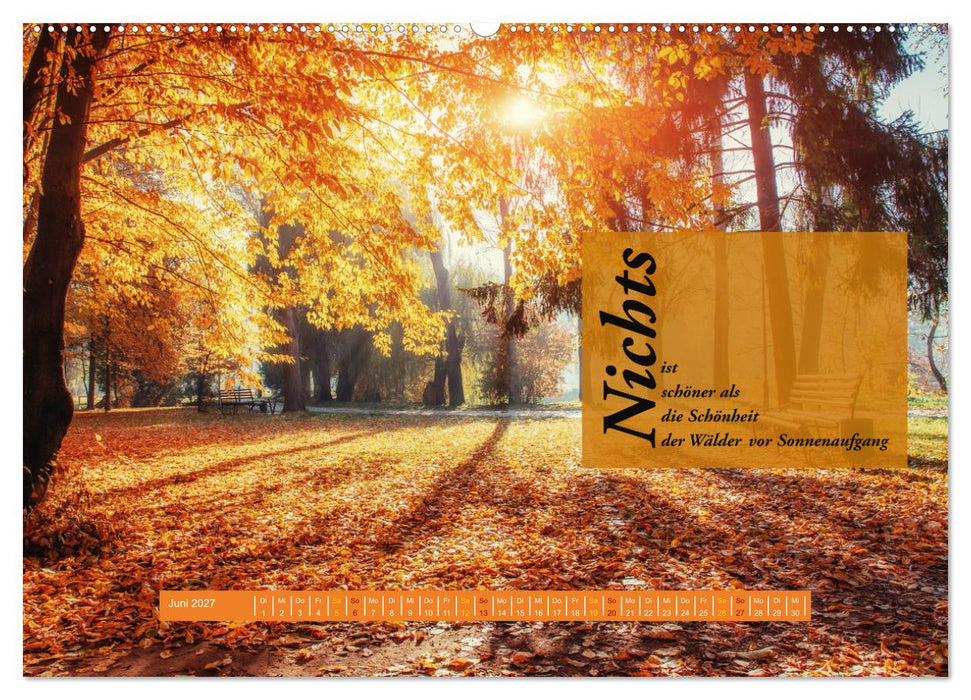 WALD Erholung pur (CALVENDO Wandkalender 2027)