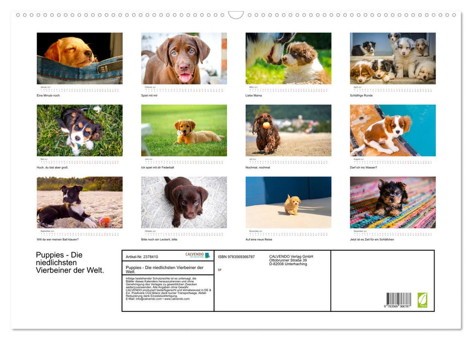 Puppies - Die niedlichsten Vierbeiner der Welt. (CALVENDO Wandkalender 2027)