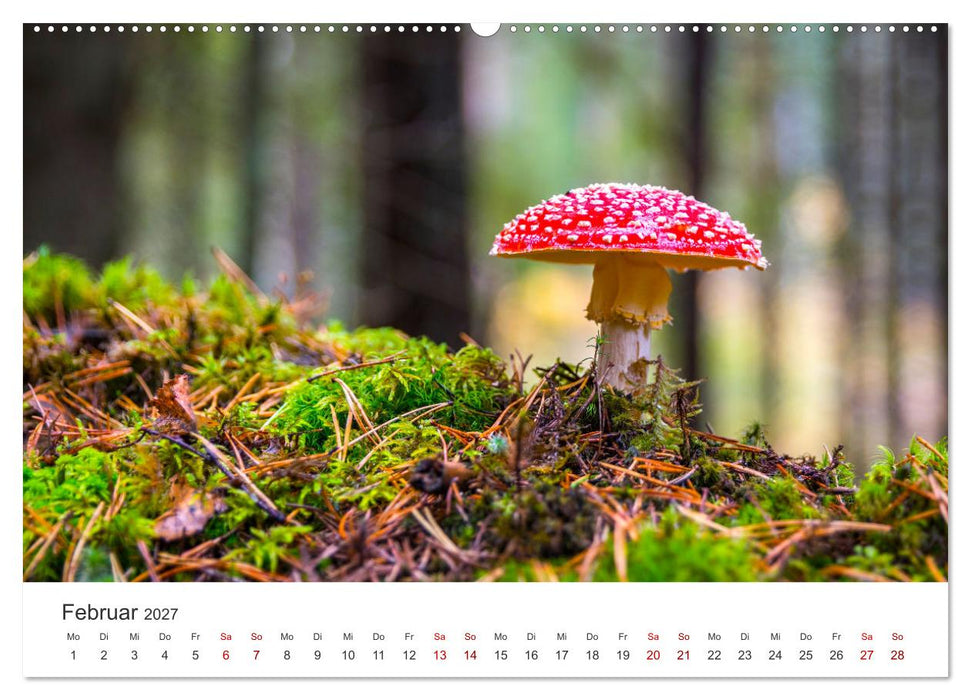 Ein Ausflug in die magische Welt der Pilze (CALVENDO Premium Wandkalender 2027)