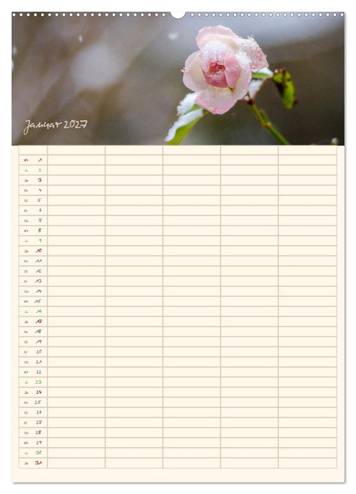 Mit Blick in den Garten (CALVENDO Premium Wandkalender 2027)