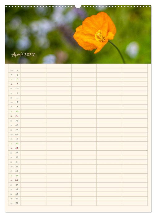 Mit Blick in den Garten (CALVENDO Premium Wandkalender 2027)