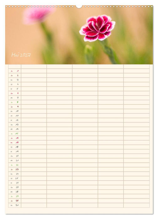 Mit Blick in den Garten (CALVENDO Premium Wandkalender 2027)