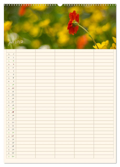 Mit Blick in den Garten (CALVENDO Premium Wandkalender 2027)