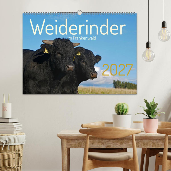 Weiderinder im Frankenwald (CALVENDO Wandkalender 2027)