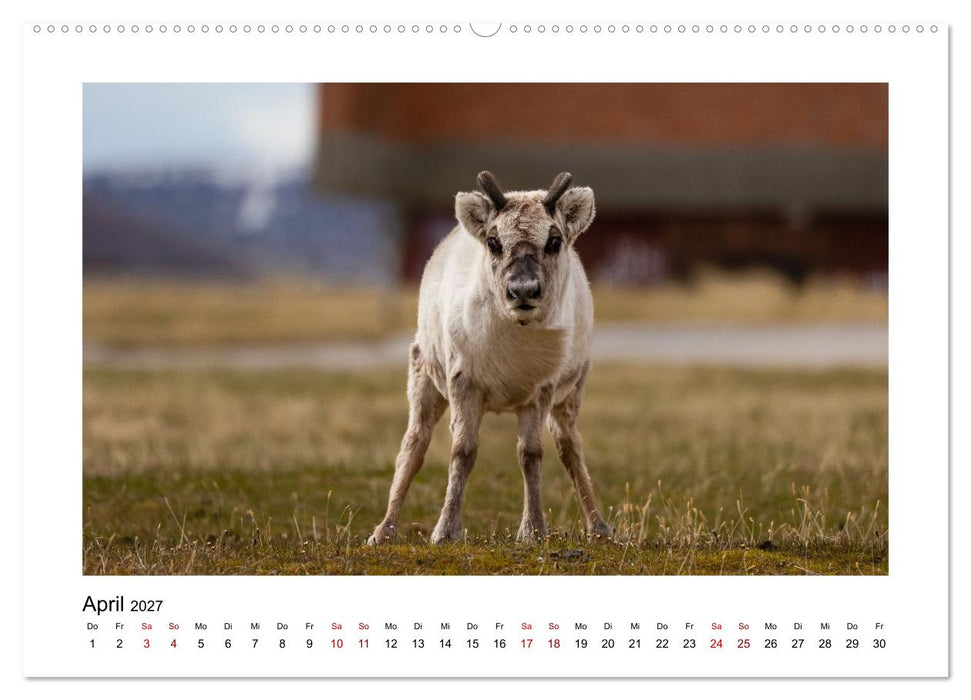 Spitzbergen und der Polarkreis (CALVENDO Wandkalender 2027)