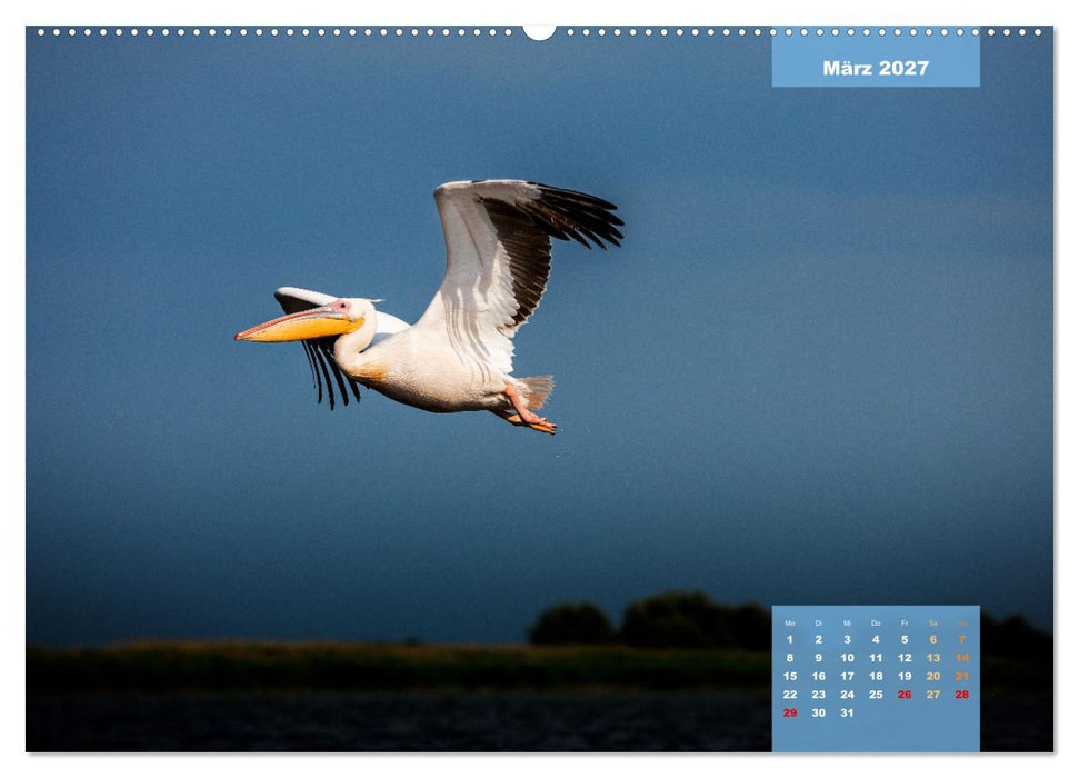 Wildes Donaudelta (CALVENDO Premium Wandkalender 2027)