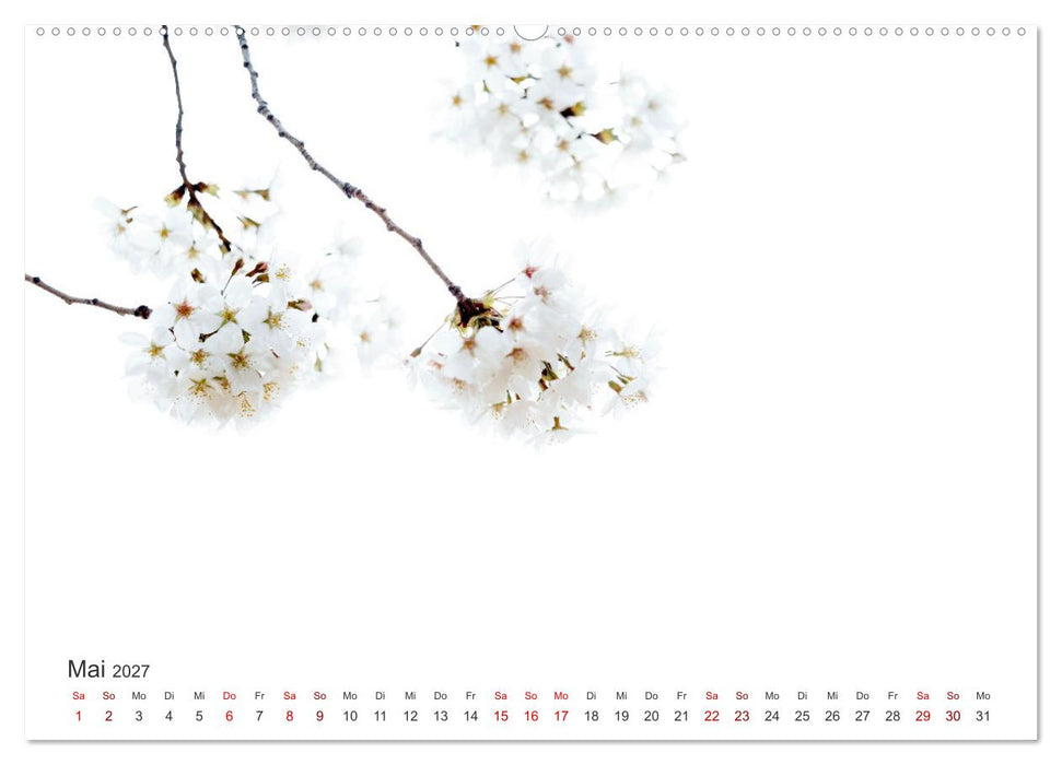 ZEN - Eine Reise zu sich selbst (CALVENDO Wandkalender 2027)