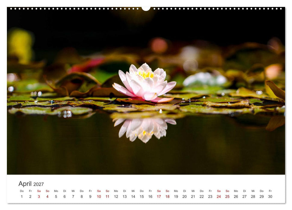 ZEN - Eine Reise zu sich selbst (CALVENDO Premium Wandkalender 2027)