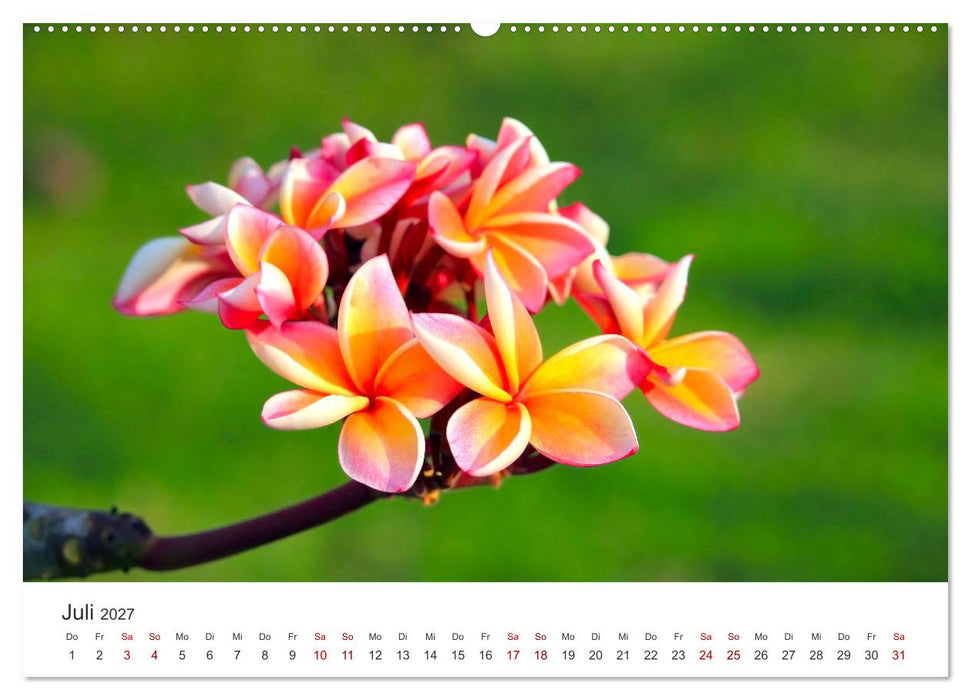 ZEN - Eine Reise zu sich selbst (CALVENDO Premium Wandkalender 2027)