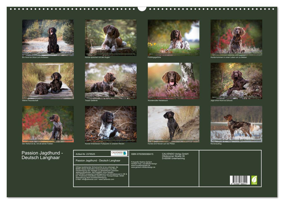 Passion Jagdhund - Deutsch Langhaar (CALVENDO Wandkalender 2027)