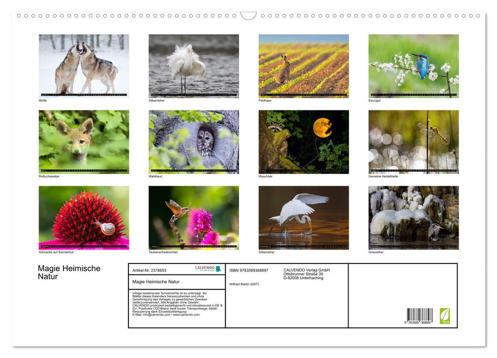 Magie Heimische Natur (CALVENDO Wandkalender 2027)