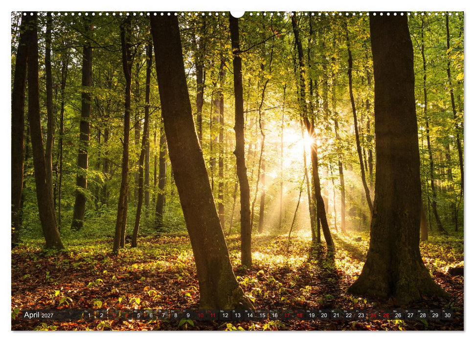 Augsburg - Stadt und Land (CALVENDO Wandkalender 2027)