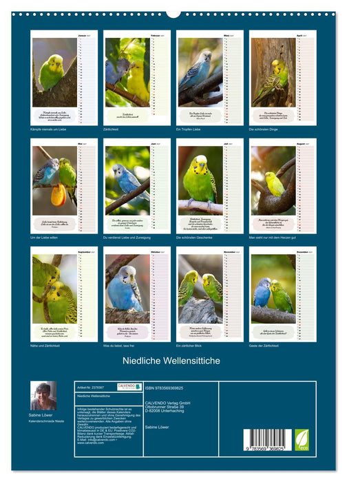 Niedliche Wellensittiche (CALVENDO Premium Wandkalender 2027)