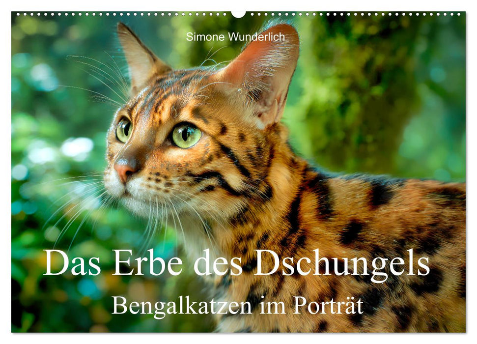 Das Erbe des Dschungels - Bengalkatzen im Porträt (CALVENDO Wandkalender 2027)