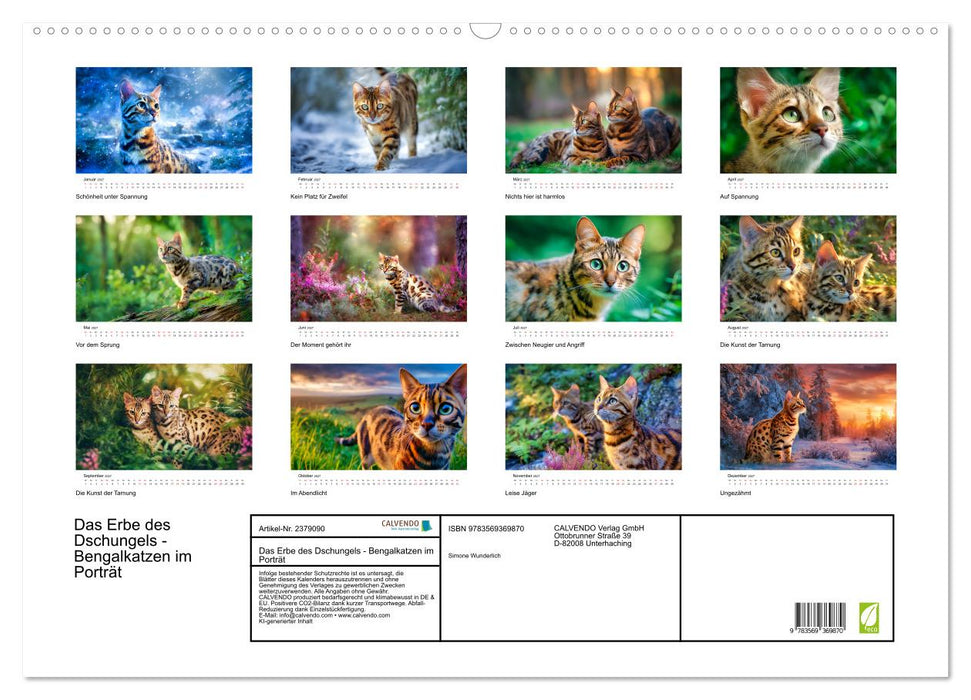 Das Erbe des Dschungels - Bengalkatzen im Porträt (CALVENDO Wandkalender 2027)