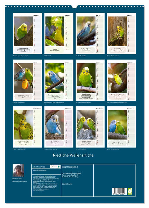 Niedliche Wellensittiche (CALVENDO Wandkalender 2027)